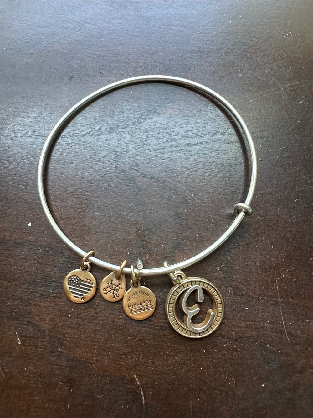 Alex and Ani “E” Initial Charm Bangle Bracelet in Mixed Metal Tones